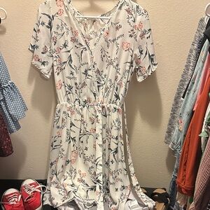 Sienna Sky Cream and Pink Floral Mini Dress